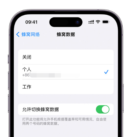 柳河苹果维修服务分享如何在iPhone上使用双卡 